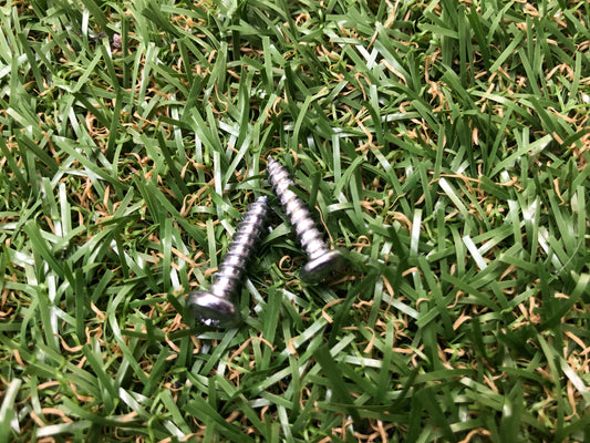Replacement screw for lacrosse sticks! (Comes as 2 screws)
